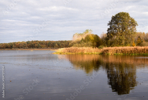 Etang de La Horre, Réserve naturelle nationale, Parc naturel régional de la forét d'Orient, 10, Aube, France photo