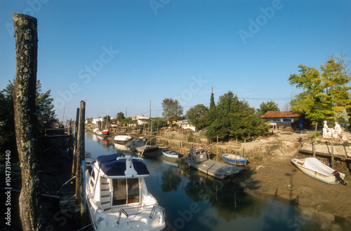 Huitre, Ostrea edulis, Port ostreicole, La Tremblade, 17, Charente Maritime, France