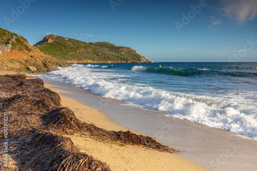 Une plage sauvage en bord de la Mer Méditerranée au sud de la France