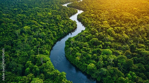 Aerial View of Winding River Through Lush Rainforest Canopy