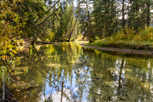 Echo Creek linking Lake Bow streaming to Vermilion Lake in Banff town, clear transparent water tree trunks laying on the water photo