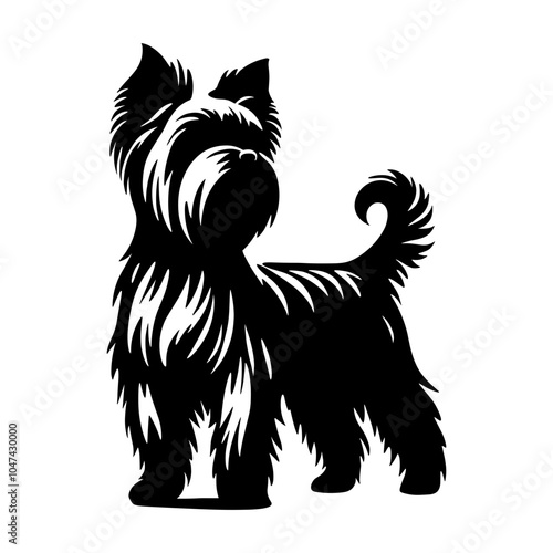 Yorkshire Terrier Standing