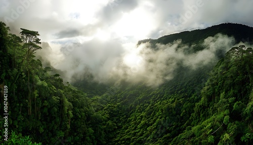 fog over the mountains