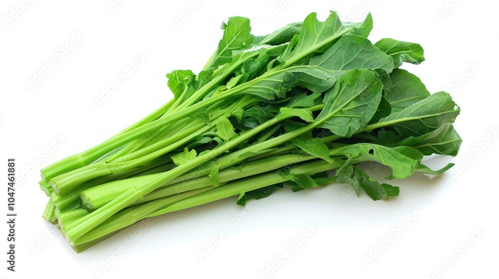 A Bunch of Fresh Green Celery Stalks with Leaves A Bunch of Fresh Green Celery Stalks with Leaves