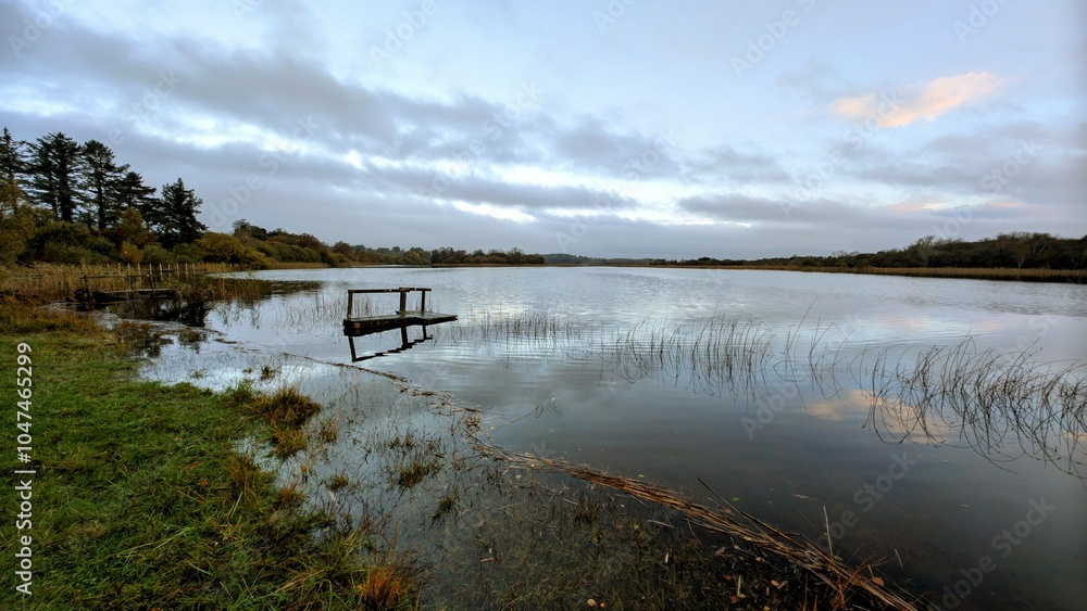 Sunrise lakeside landscape scenery, flooded fishing dock, jetty at Ballyqiurke lough, Moycullen, Galway, Ireland, nature background