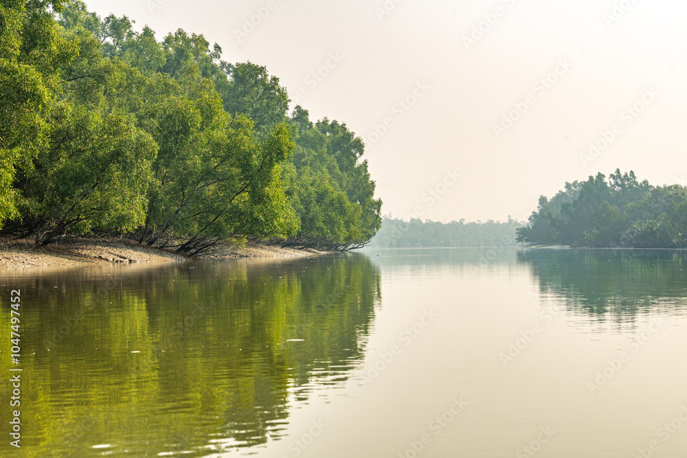 Obraz premium Sundarban