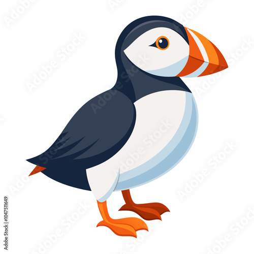 puffin bird flat style isolated on white background. Vector illustration