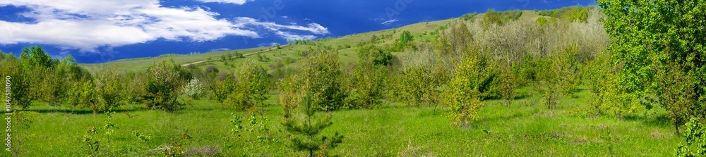 Landscape Panorama of mountains and green forest with fir trees in the park in summer. Blue clouds in the sky. dense crown of trees with leaves. Green fields, meadows. Natural landscape.Postcard. Landscape Panorama of mountains and green forest with fir trees in the park in summer. Blue clouds in the sky. dense crown of trees with leaves. Green fields, meadows. Natural landscape.Postcard.