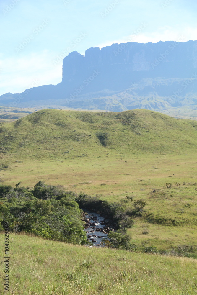 paisagem no caminho do trekking ate o monte roraima, parque nacionla canaima, venezuela. 