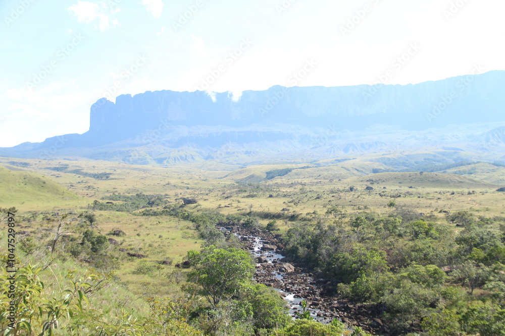 Fototapeta premium paisagem no caminho do trekking ate o monte roraima, parque nacionla canaima, venezuela. 