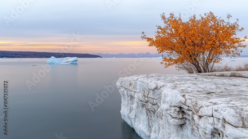 Tree is growing on a rocky ledge next to a body of water. The water is calm and the sky is a mix of blue and orange. The scene is serene and peaceful