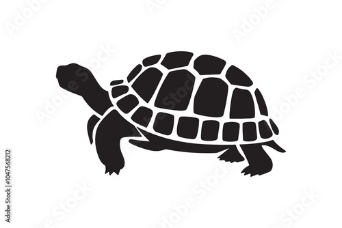 tortoise vector and silhouette