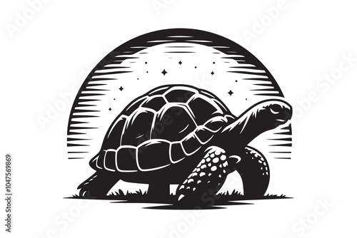tortoise vector and silhouette