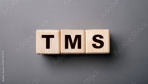 Wood cubes with abbreviation text TMS. Transportation Management System. Top view. Close-up. photo