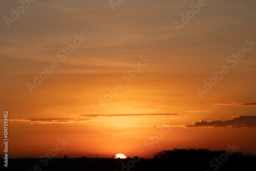 beautiful sunset in the serengeti coloring de sky in red, orange and yellow