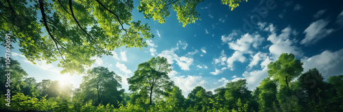 Scenic landscape with tall green tree canopy in spring, vibrant colors and blue sky