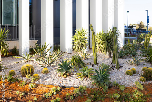 Tel Aviv, Israel - October 7, 2024: The Roman Abramovich Nanoscience and Nanotechnology building. Tel Aviv University campus. Different types of cacti and yucca grow between stones on the  lawn photo