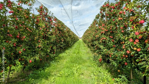 MONTECH (Tarn-et-Garonne) photo