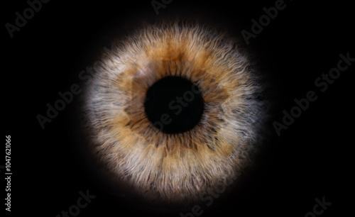 Macro photo of human eye on black background. close-up of blue eye