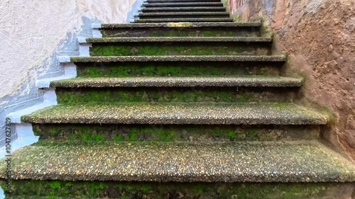 Discovering the Moss-Covered Stairs in an Ancient Stone Village