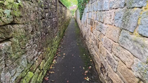 Explore the Narrow Stone Pathway Lined With Greenery in Early Autumn