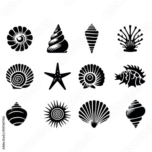 Collection of Twelve Silhouette Sea Shells