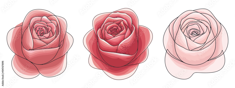 Elegant Continuous Line Roses - Vector Illustration Elegant Continuous Line Roses - Vector Illustration