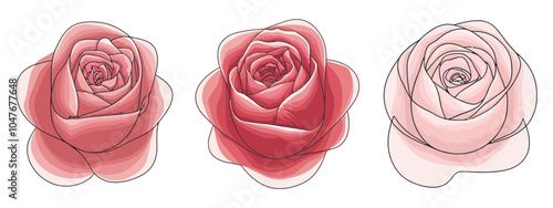 Elegant Continuous Line Roses - Vector Illustration