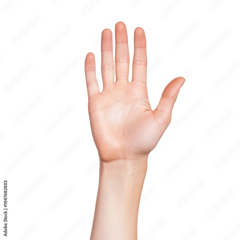 Open hand gesture, symbolizing greeting, invitation, or communication, white isolate background. Open hand gesture, symbolizing greeting, invitation, or communication, white isolate background.