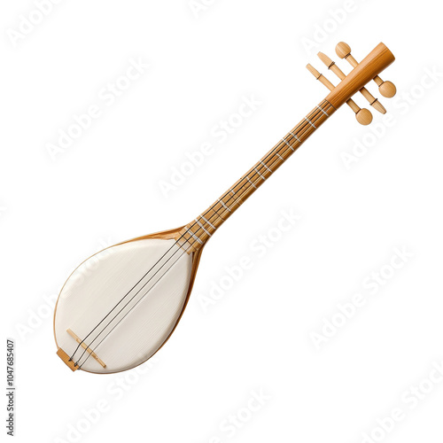 Traditional musical instrument, white isolated background. photo