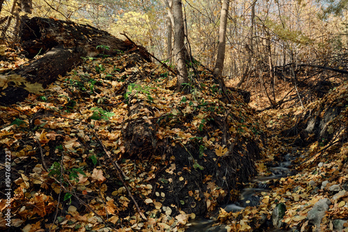 at the foot of the waterfall in the autumn forest