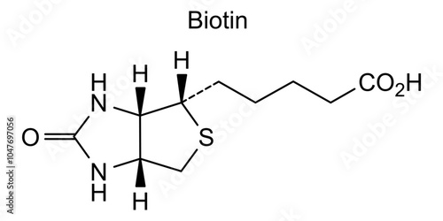 Chemical structure of biotin, drug substance