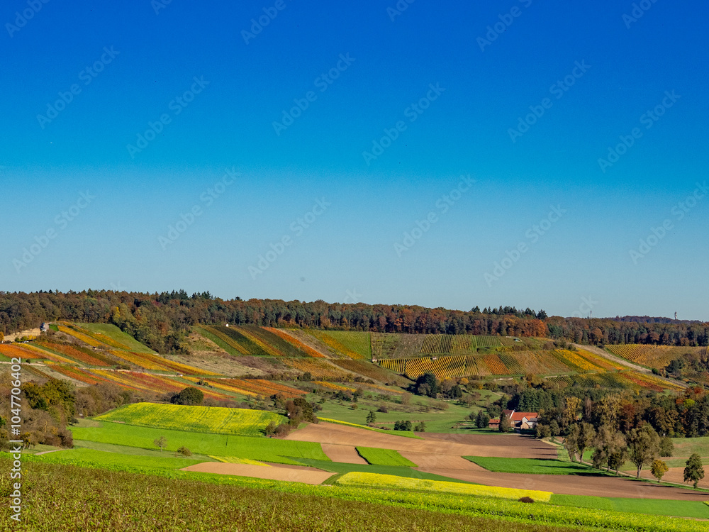 Fototapeta premium Landschaft mit Weinbergen im Herbst