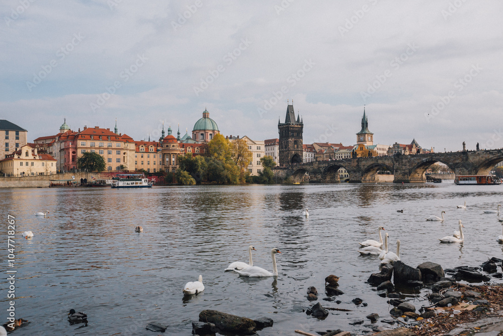 Fototapeta premium charles bridge and city castle