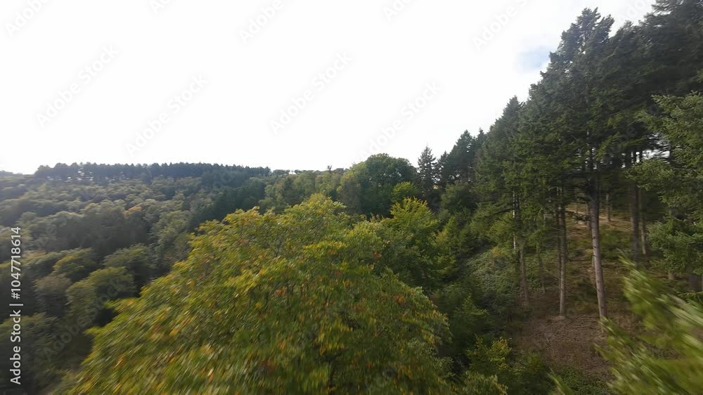 Geierlay, suspension bridge, walking bridge on the german eifel. Aerial FPV drone view. Geierlay, suspension bridge, walking bridge on the german eifel. Aerial FPV drone view.