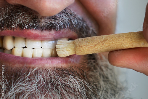 Old islamic traditional natural toothbrush Miswak or Siwak. (Salvadora persica) was used by the Babylonians some 7000 years ago and Greek, Roman empires, and also by ancient Egyptians and Muslims.