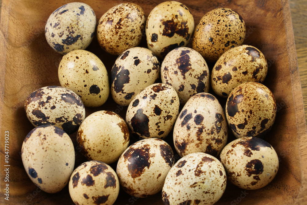 Quail eggs , close up image .