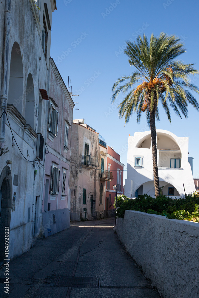 Fototapeta premium beautiful Procida island with colorful houses in sunny summer day, Italy