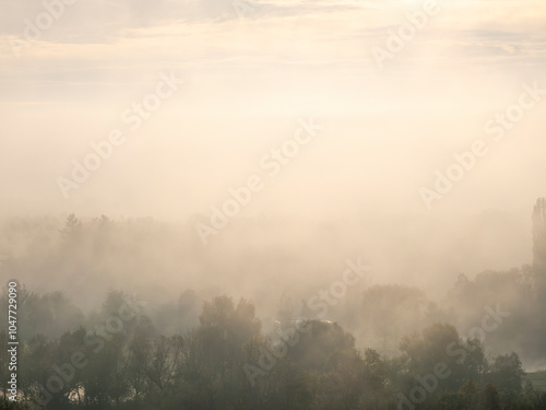 fog in the city