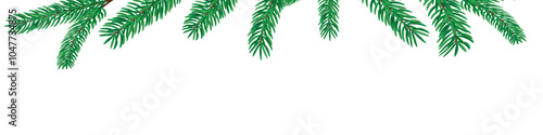 Realistic Christmas tree branches, New Year's decorations of spruce, pine trees with green needles on a transparent background, vector set.