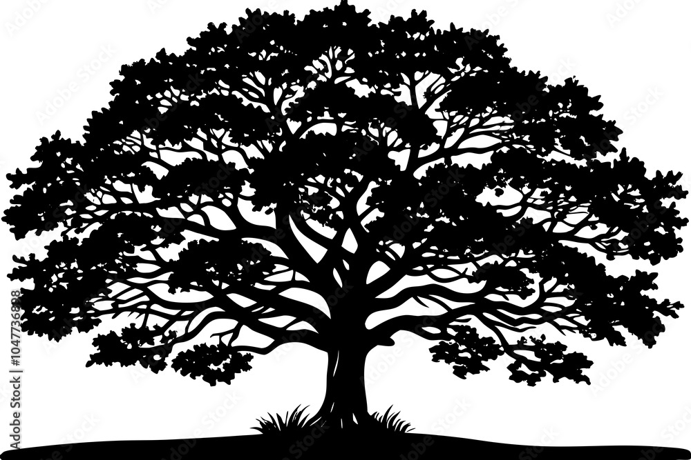 Obraz premium Sprawling Oak Tree Silhouette Against Sunset Sky