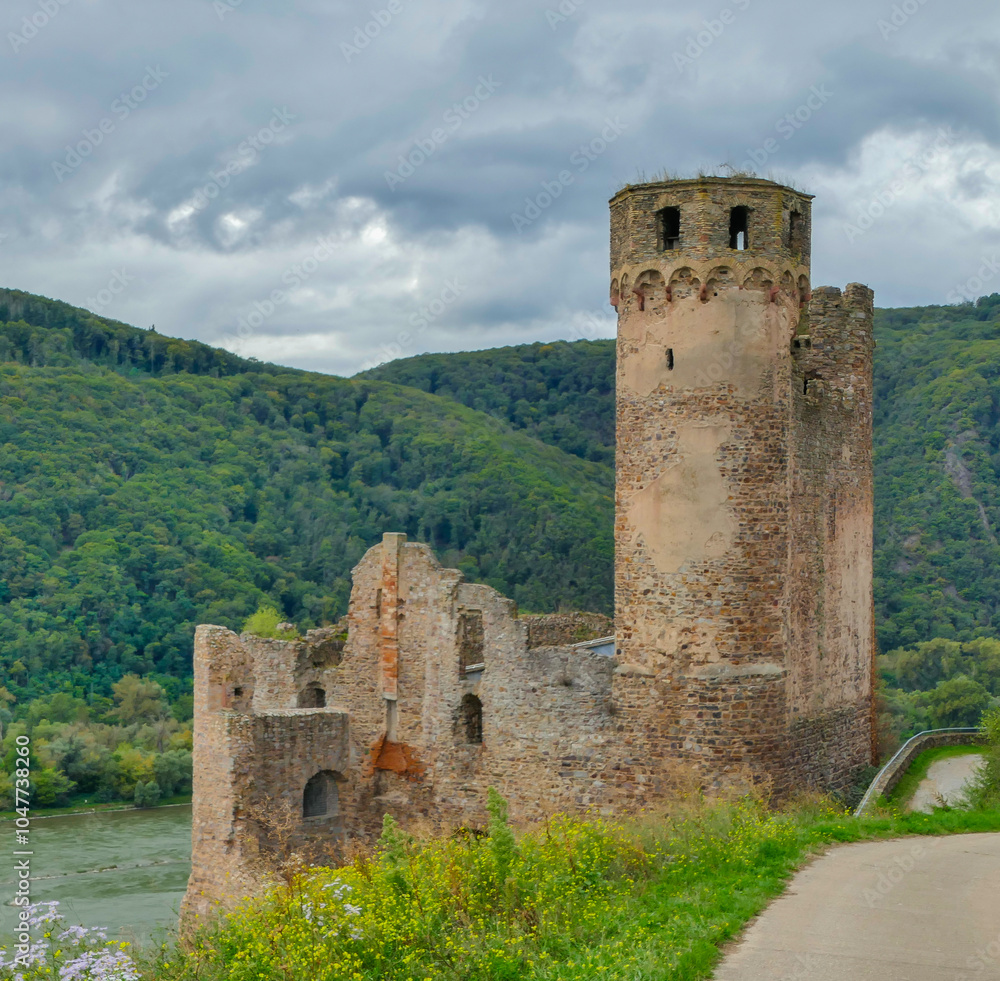 Ruine Burg Ehrenfels Rüdesheim am Rhein Ruine Burg Ehrenfels Rüdesheim am Rhein