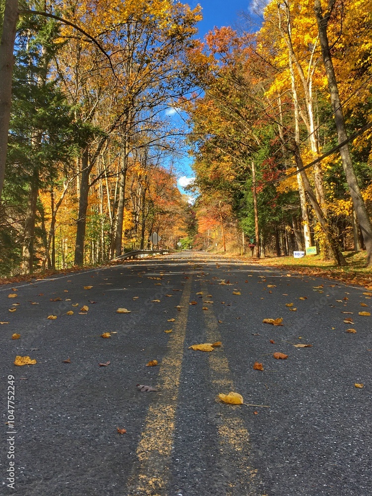 Obraz premium Fall Foliage One