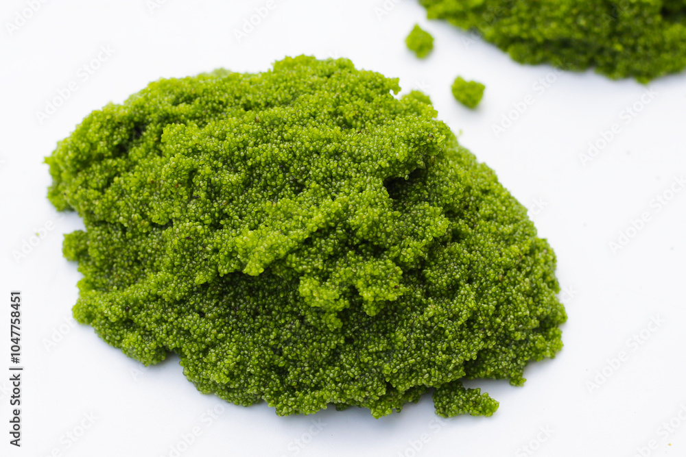Fresh water alga, water meal or swamp algae Fresh water alga, water meal or swamp algae