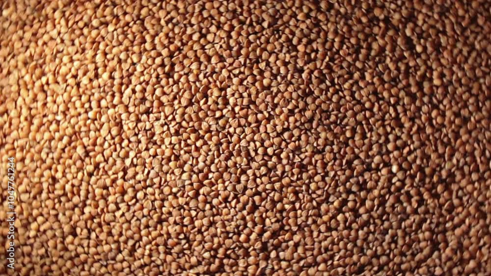 Dry Uncooked Brown Buckwheat Groats, Rotating Background - Top View, Low Key Light. Raw Large Buckwheat Grains. Russian, Ukrainian and Belarusian Culture. Rotation Right Dry Uncooked Brown Buckwheat Groats, Rotating Background - Top View, Low Key Light. Raw Large Buckwheat Grains. Russian, Ukrainian and Belarusian Culture. Rotation Right