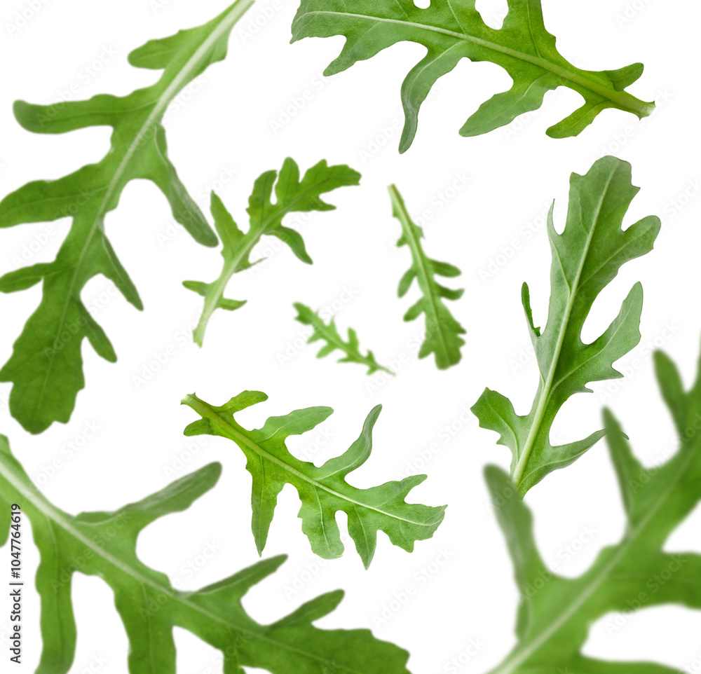Fresh green arugula in air on white background Fresh green arugula in air on white background