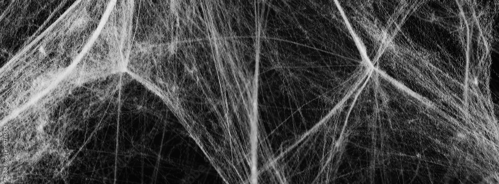 White cobweb on black background, banner design White cobweb on black background, banner design
