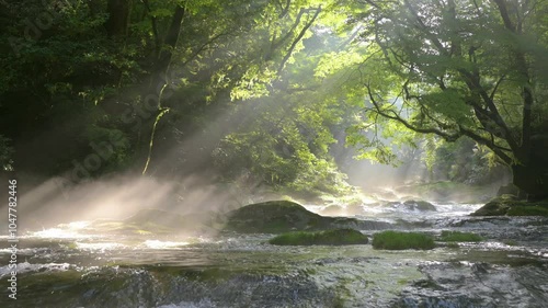 菊池渓谷・広河原の光芒