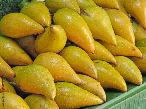 Canistel or Pouteria campechiana fruits  on market photo