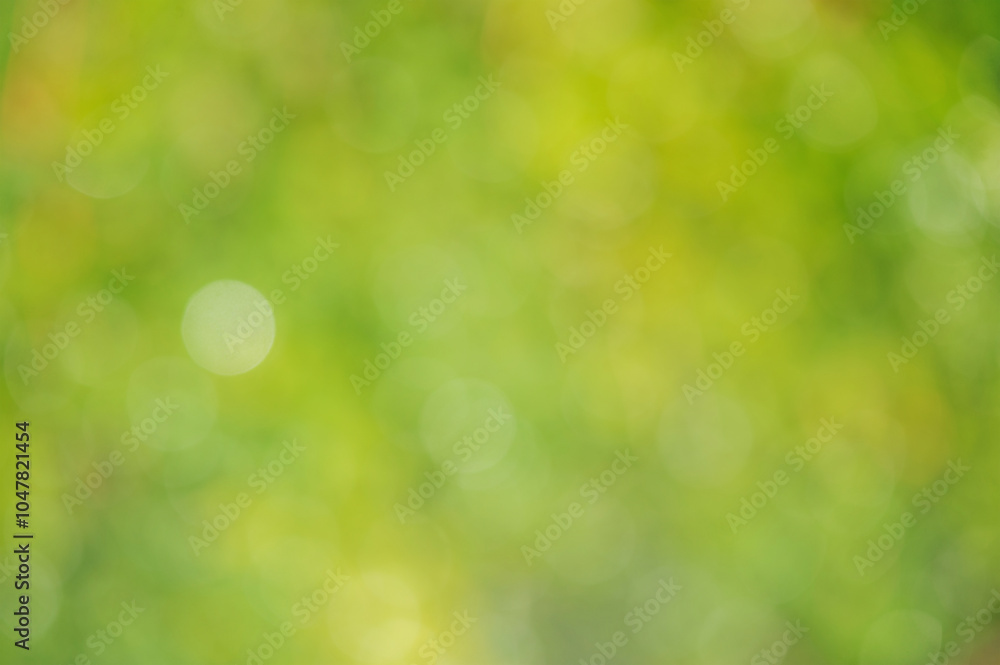 Abstract blurred green nature background. Abstract blurred green nature background.